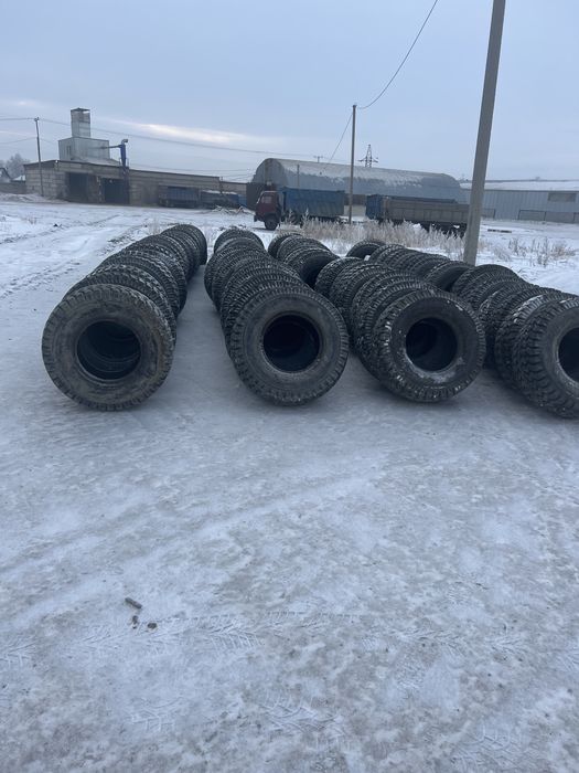 Шины на телег птс 12.9.6