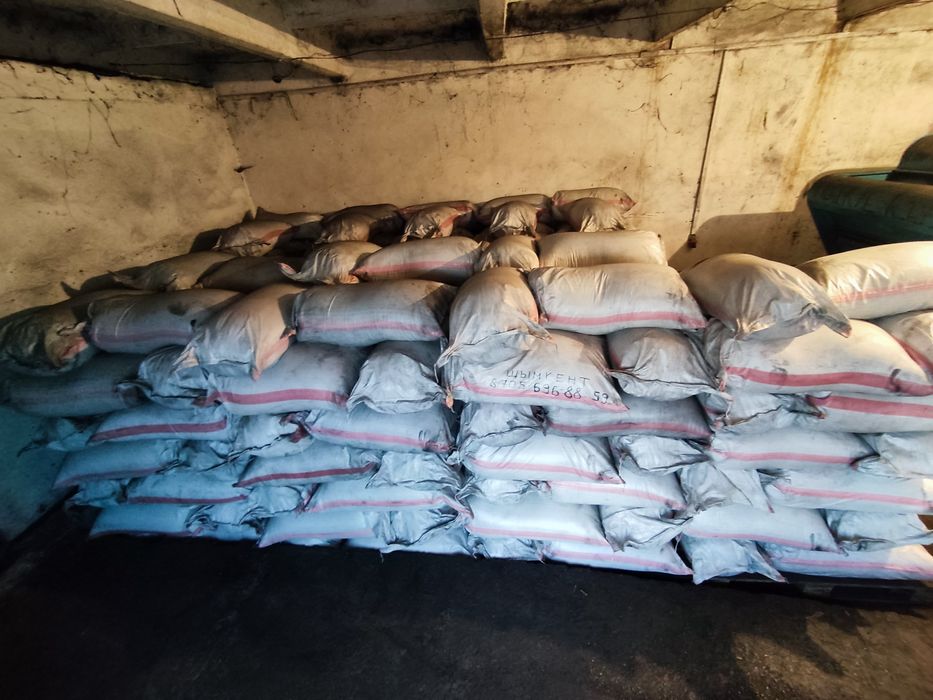 Магниченные семена люцерны.