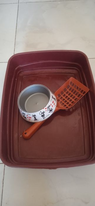 Продам лоток для кошки!