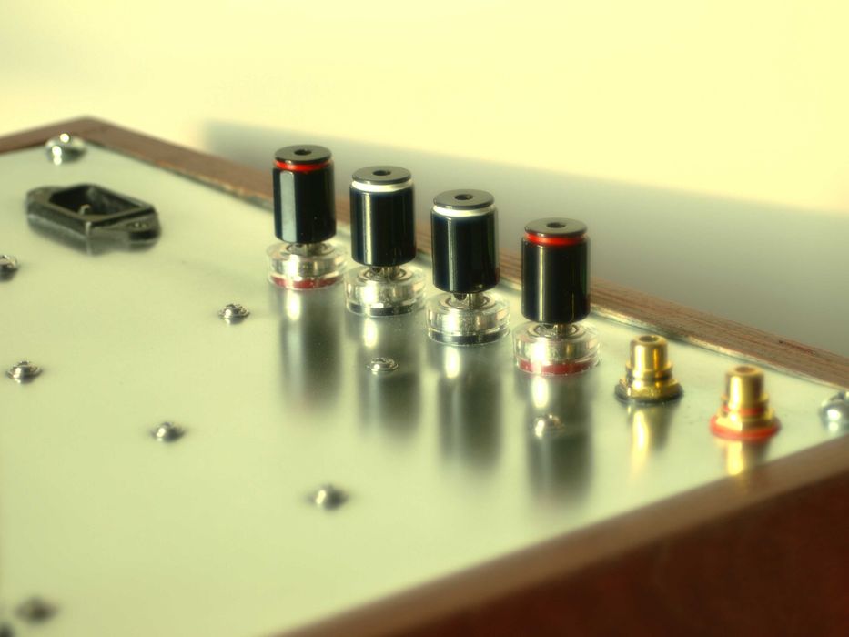 Ruby Resonance Enhancer – EL 84 SE Valve Amplifier - Лампов усилвател