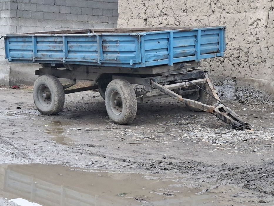 Телешка прсепла сотилади сеткалари бор