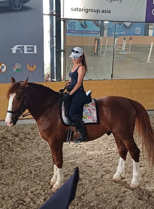 конный спорт лошади