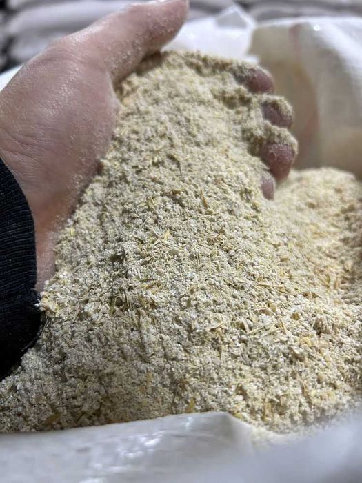 Пшеница ячмень кукуруза