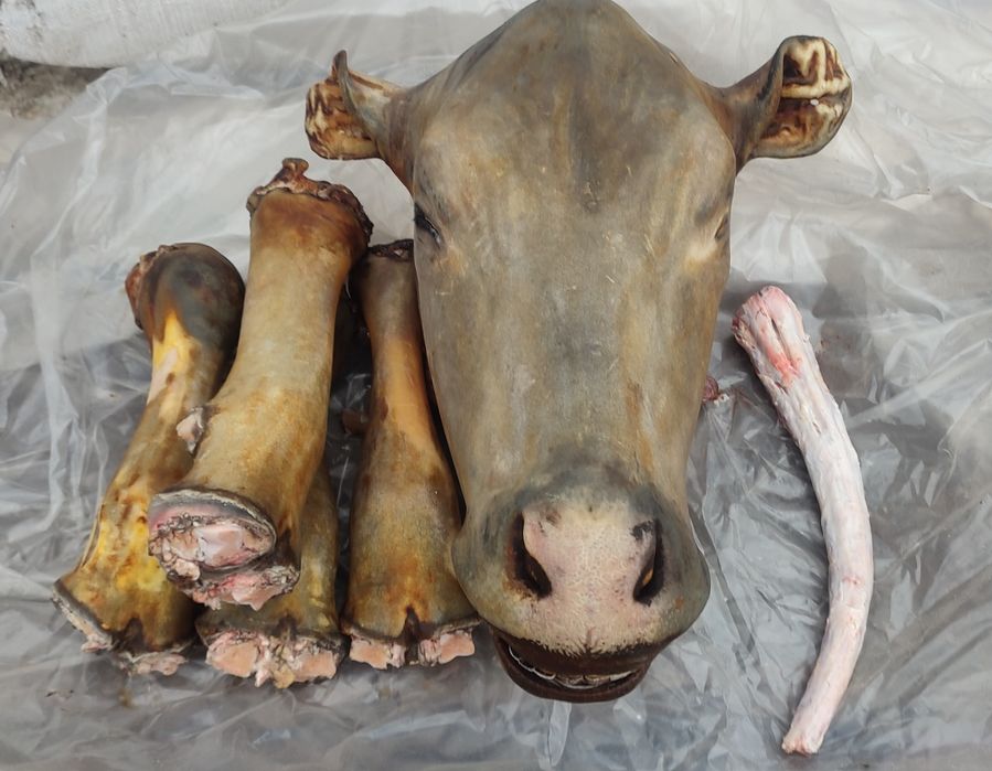 Продам голову, ножки и хвост