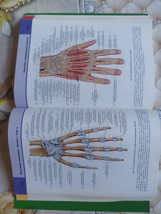 Atlas anatomiyasi sotiladi