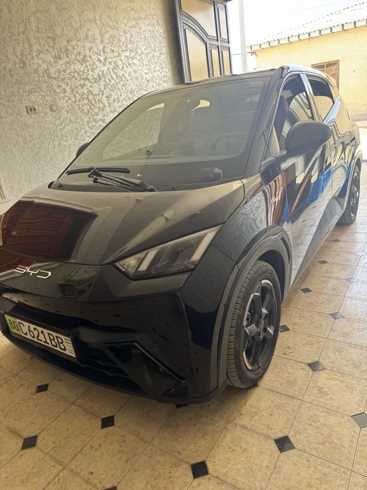 BYD Seagull 2024 tez va arzon Sotiladi