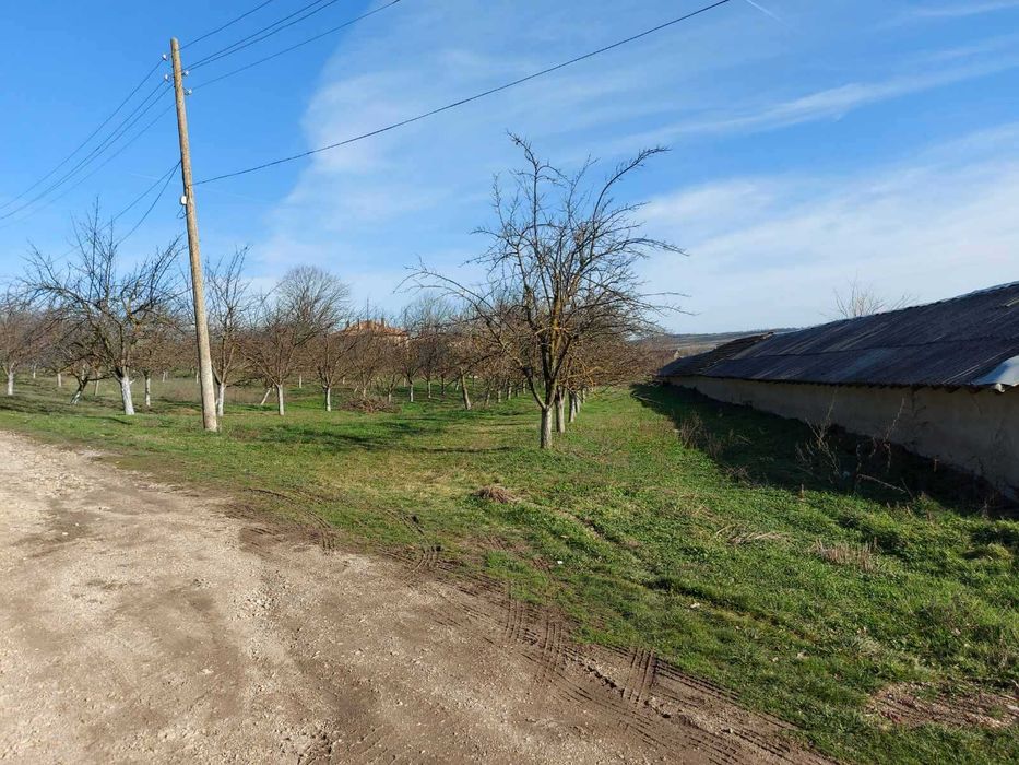 Селскостопанска постройка/Обор, гр.Лозница