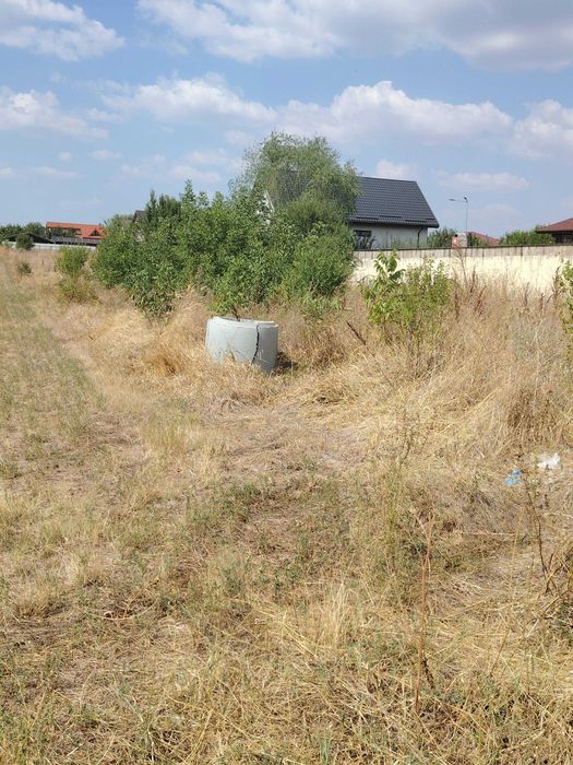 vanzare teren branesti