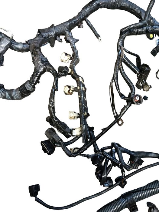 Instalatie Electrica Motor Toyota Rav 4 Ii _A2_ 2000 - 2005 2.0 D 4Wd