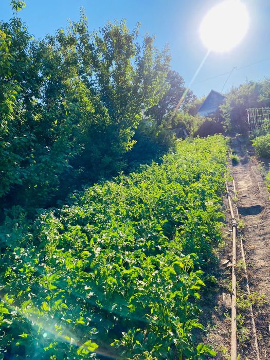 Продам дачу ПК Спутник