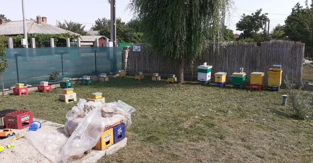 Matci de vanzare sezonul 2025!