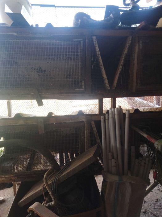 Клетки для кроликов