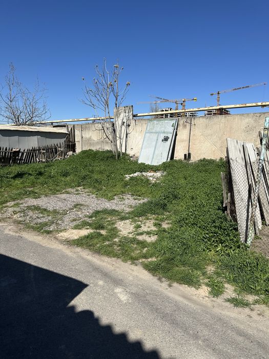 Oq uyda 4 soʻtik 31000 dan