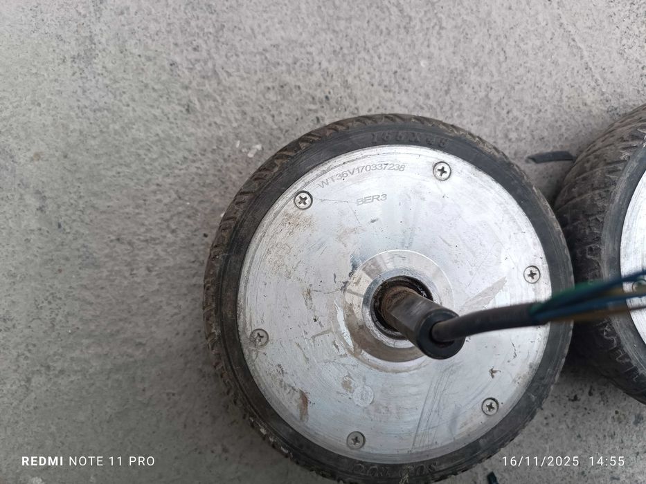 Sigvey bqloni 6,5 dyum