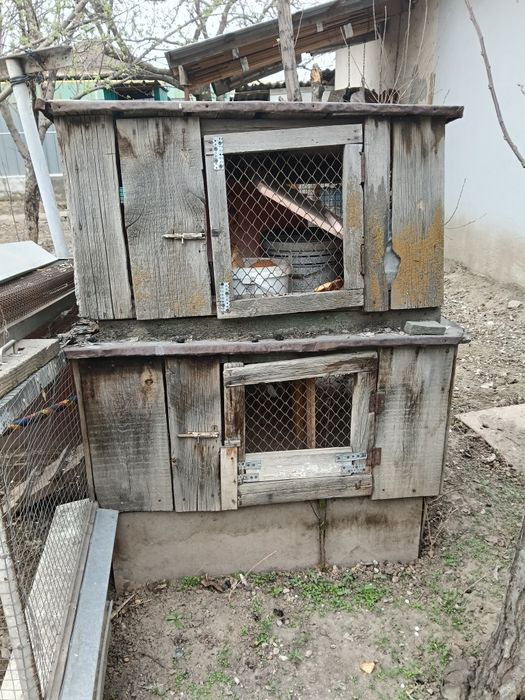 Отдам даром для кроликов.