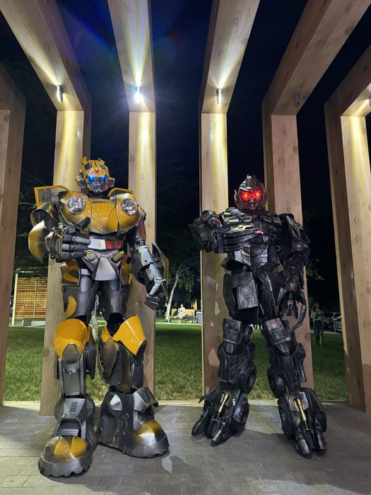 Организация мероприятия, АНИМАТОРЫ