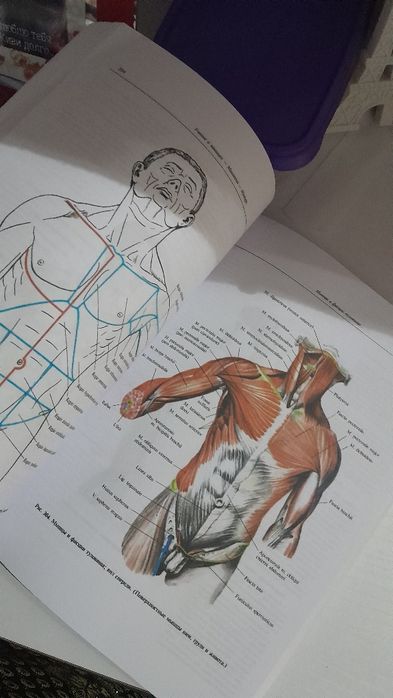 Анатомия 1 том хорошем состоянии 120 тыс