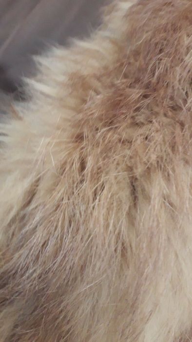 Haina scurta capa blana de vulpe rosie, vintage, par lung, tiv crestat