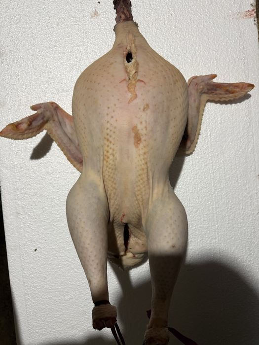 Туша индюк сатылады