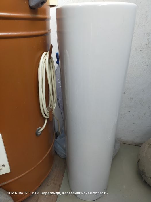 Раковина,тюльпан