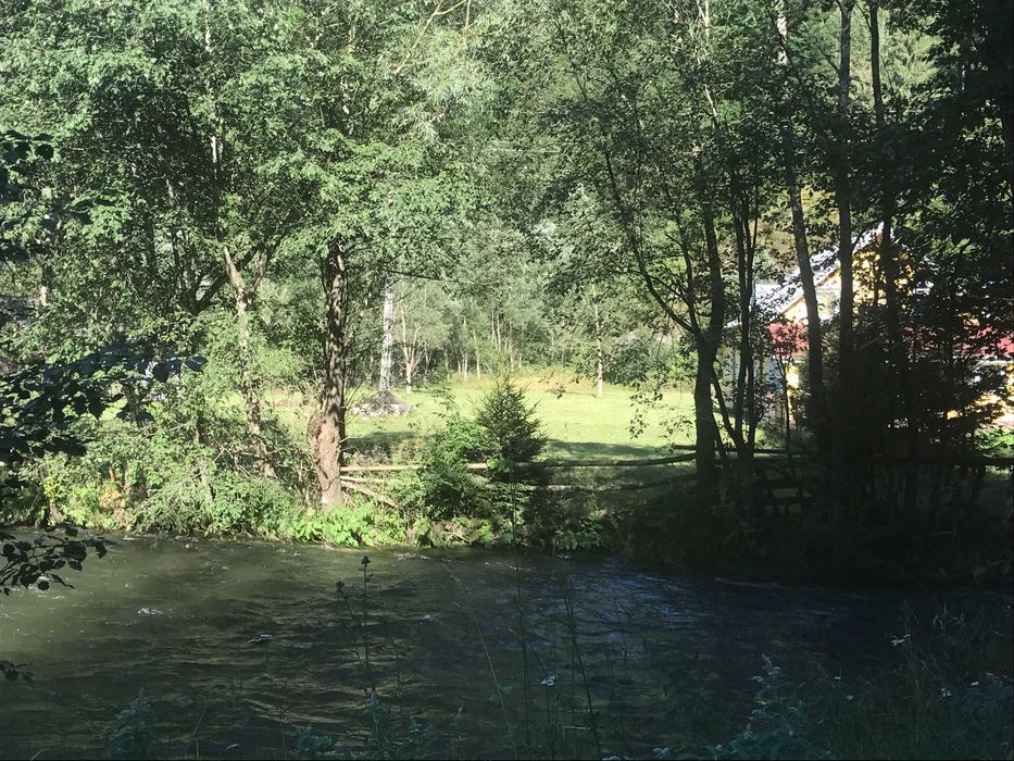 Teren intravilan SATIC DE SUS