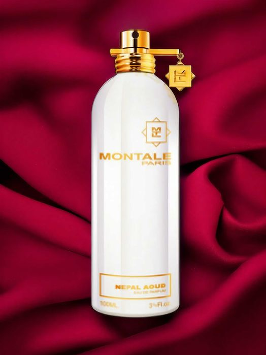 Nepal Aoud MONTALE