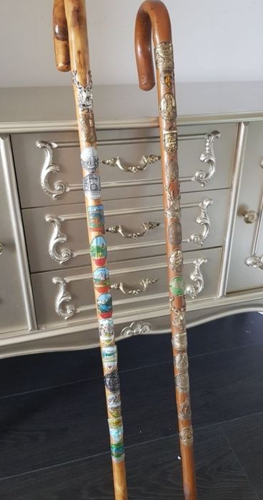 Bețe fixe  pentru drumeție Leki