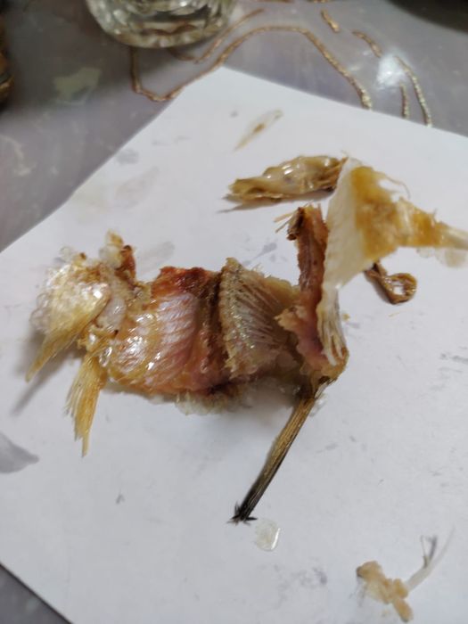 Балық балық сатлымда