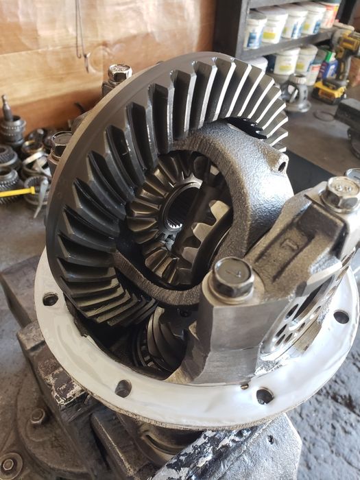 Damas zadni most xolati zõr