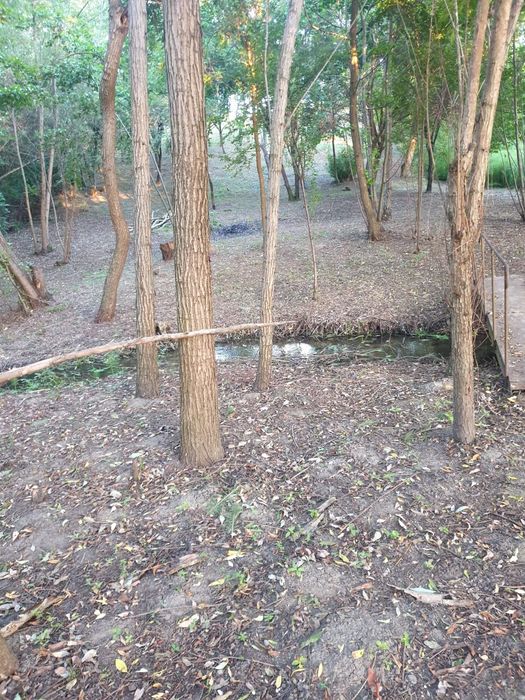 Teren intravilan cu relief spectaculos, tip munte – Malu Mare – pârâu