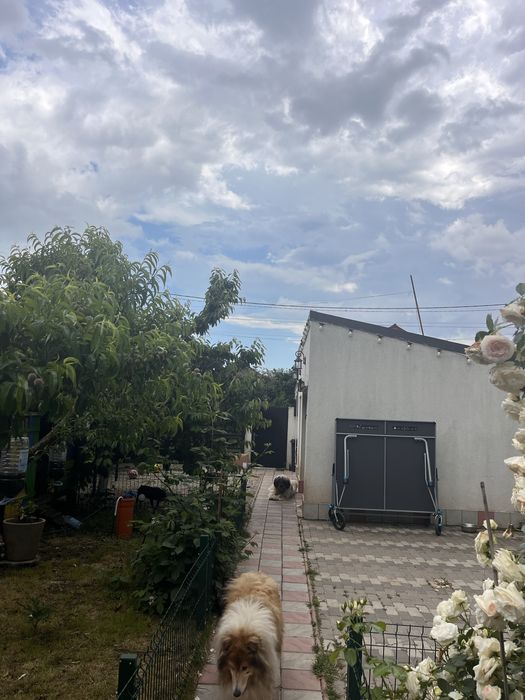 Casă 3 dormitoare, 115mp, teren 400 mp, panouri solare, Cumpăna – 190.000 €