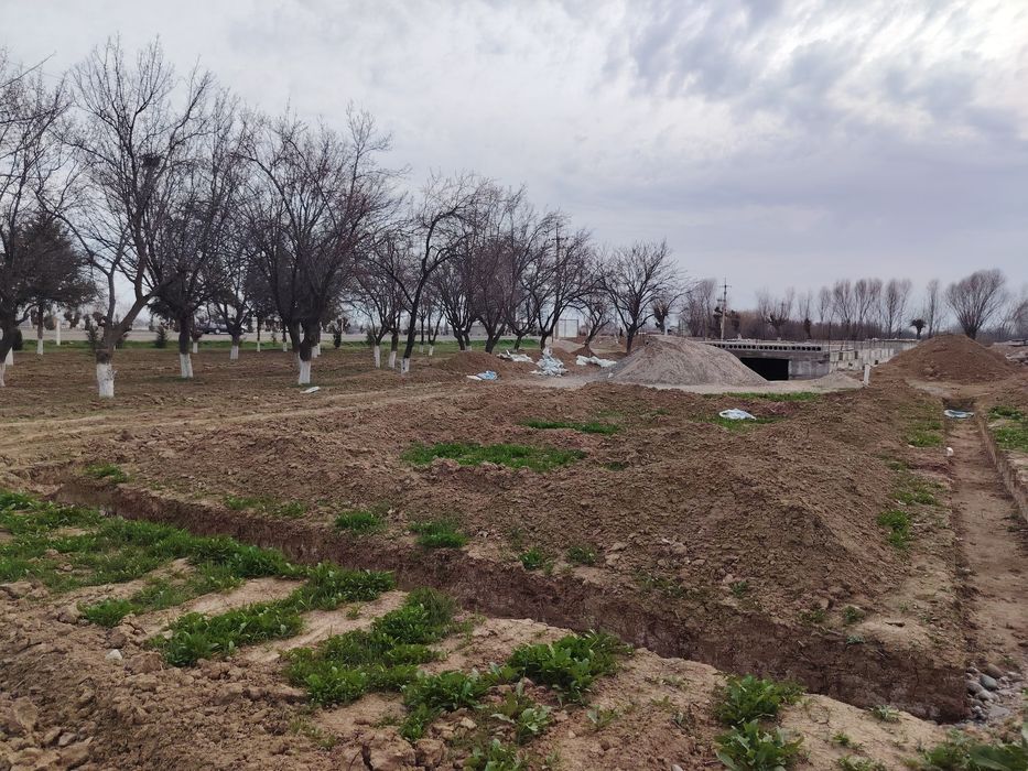 Сурхондарё вилояти кумкуркон мунчок тепа йулди буйдан 2 сутик учаска