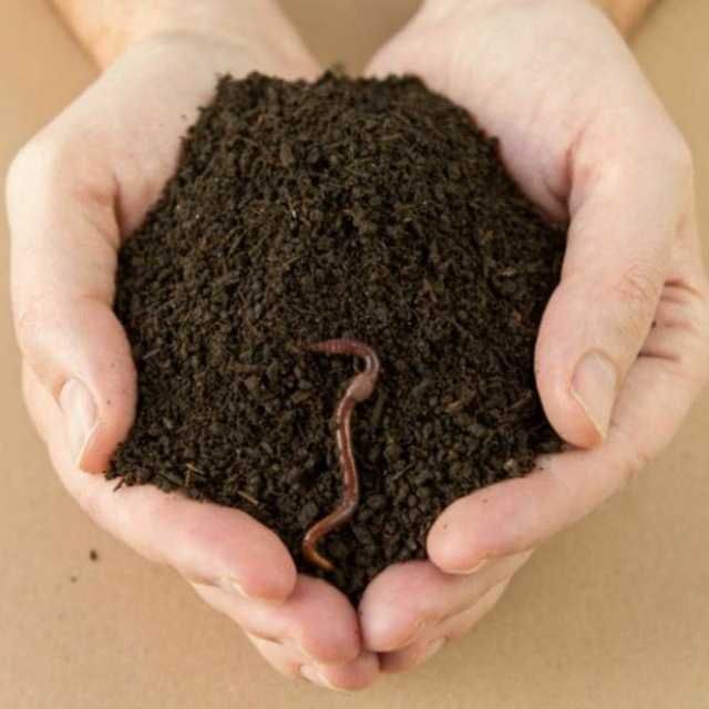 Биогумус сотилади