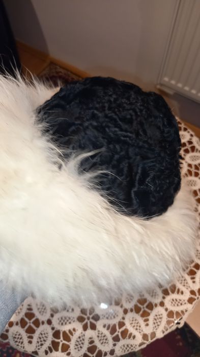 Vand căciulă blana naturala din vulpe argintie cu astrahan, eleganta