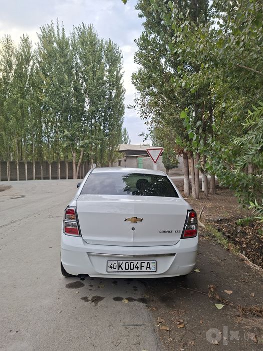 Masla holatda kraska toza