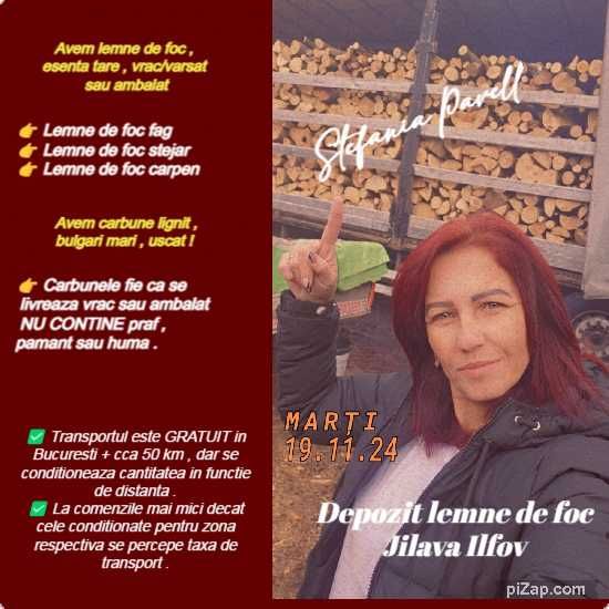 Cauți lemne de foc fag în București la preț bun? Avem doar FAG