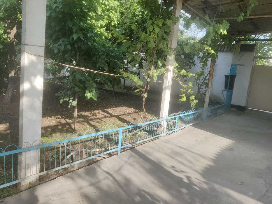 Срочно сдается дом 3 комнаты,6 соток.Сангород.