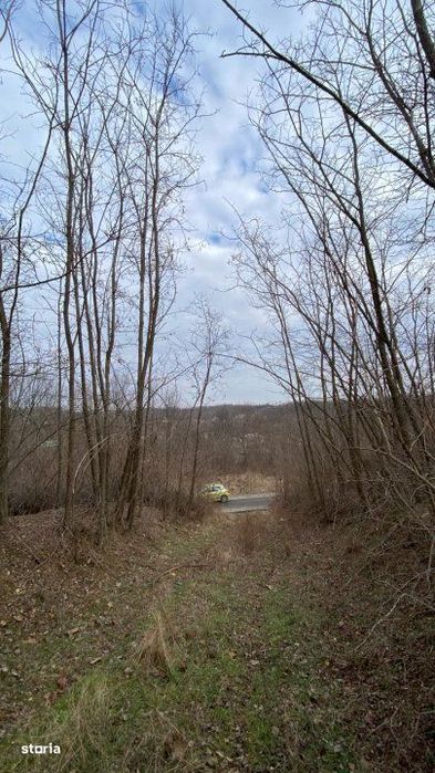 Teren cu panorama superba + padure Albota  Gura Vaii  Arges