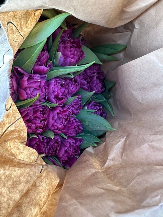 тюльпаны пионовидные