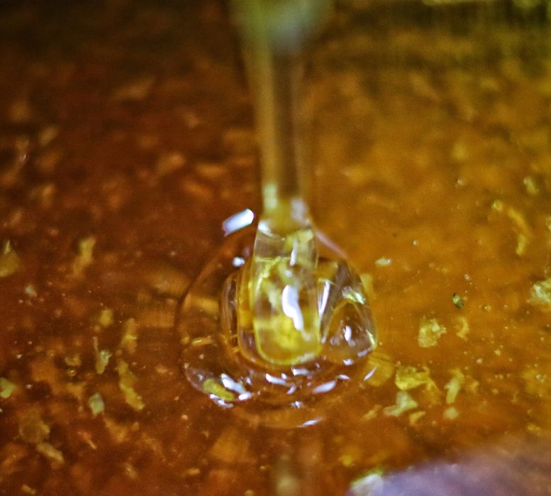 Продавам Пчелен  мед