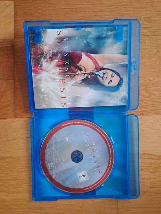 Концерт на Evanescence