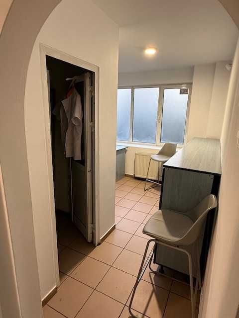 Spatiu comercial Podu ros/Nicolina