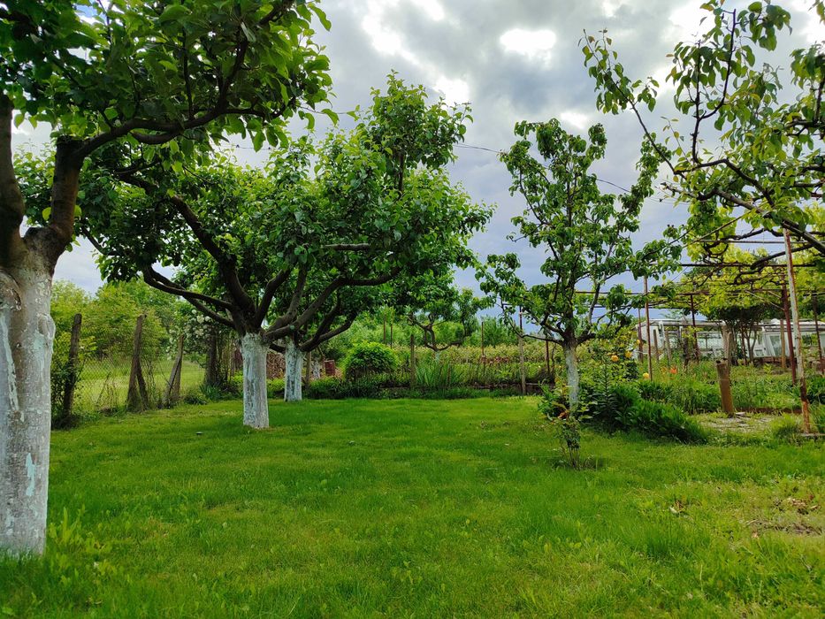 Продава се Къща в с. Владимирово, Област Добрич - 100 кв.м за 383 €/кв.м - Снимка #9