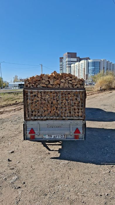 Дрова берёза 2500