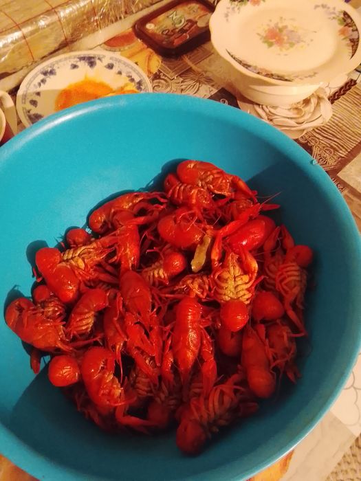 Продам раков в городе Семей