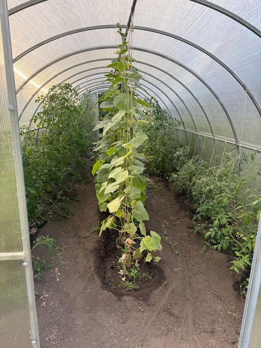 Дача зимняя общество КОЛОС