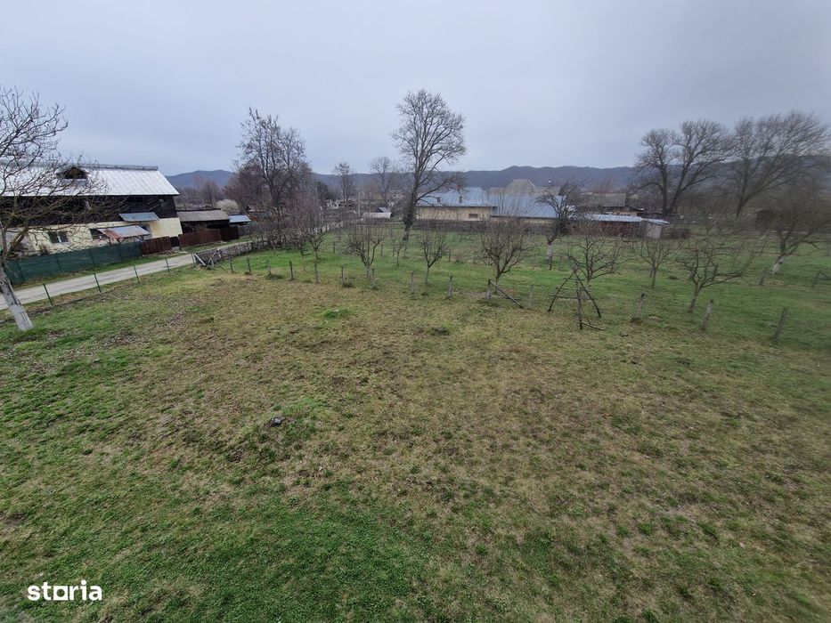 teren munte - Domnesti Arges , 25km de C. de Ag