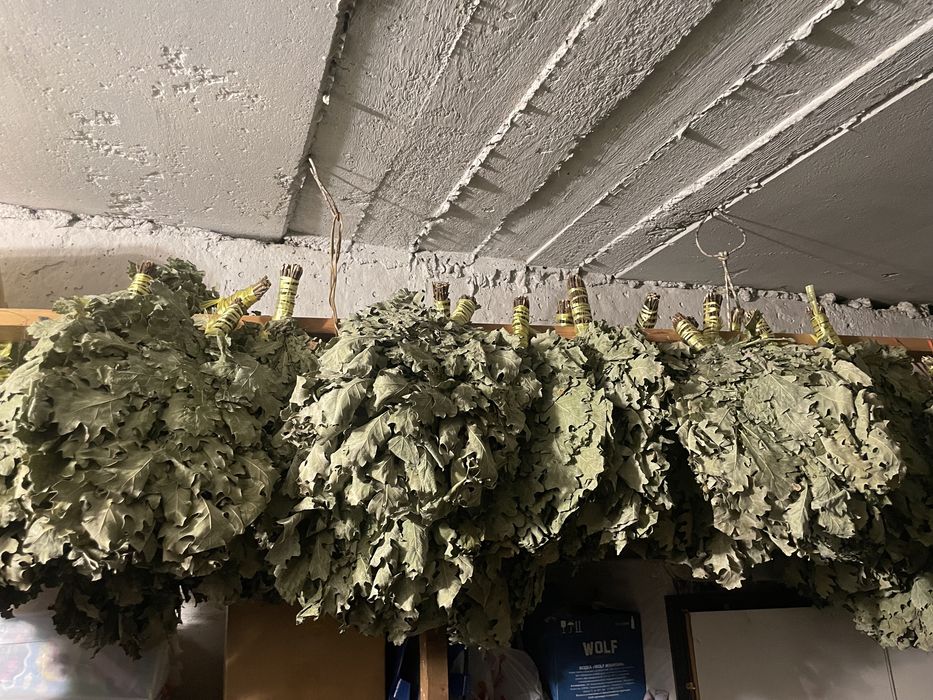 Дубовые веники