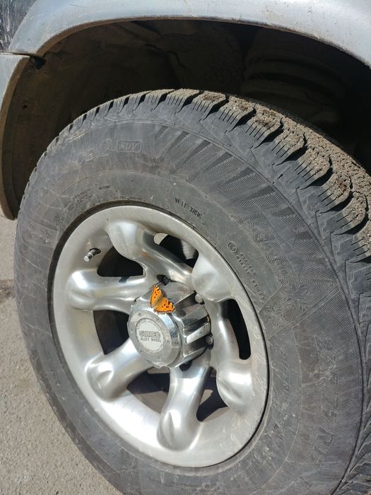 Диски           R15