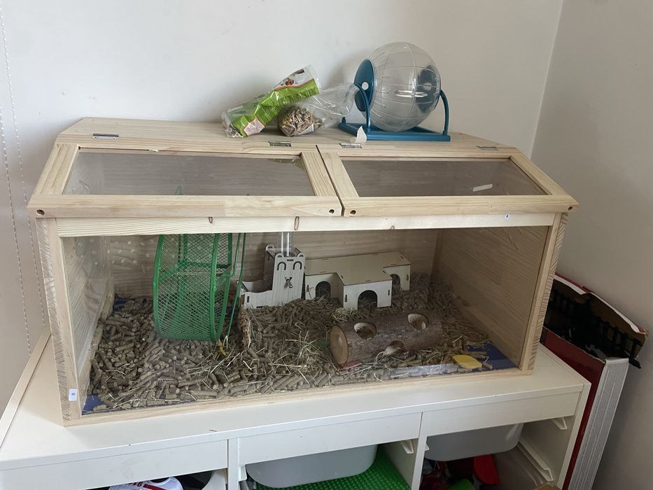 Vand URGENT cusca cu hamster, accesorii si mancare.